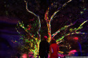 t(w)o stand still. an old fig tree in the botanical garden is transformed with animated snakes
