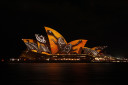 turtles on the sydney opera house
