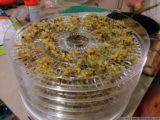 vegetable risotto before dehydration
