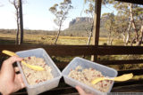 rice and bean dinner at pelion hut, in plastic containers, with sporks.