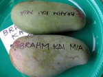 Mangos der Sorte Brahm Kai Meu (Foto: Asit K. Ghosh, cc-by-sa 3.0)