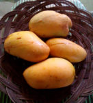 Mangos der Sorte Chok Anan (Foto: Bagoto, cc-by-sa 4.0)