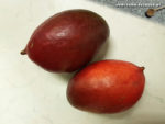 Mangos der Sorte Palmer (Foto: Hermann Meier)