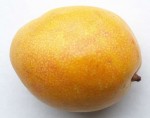 Mango der Sorte Pickering (Foto: Plantogram, http://bit.ly/Z3owgW)