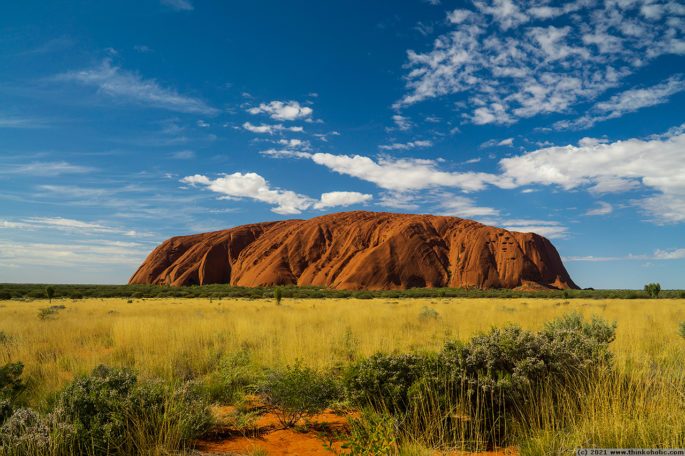 Uluru, standing out from the surrounding golden grassland